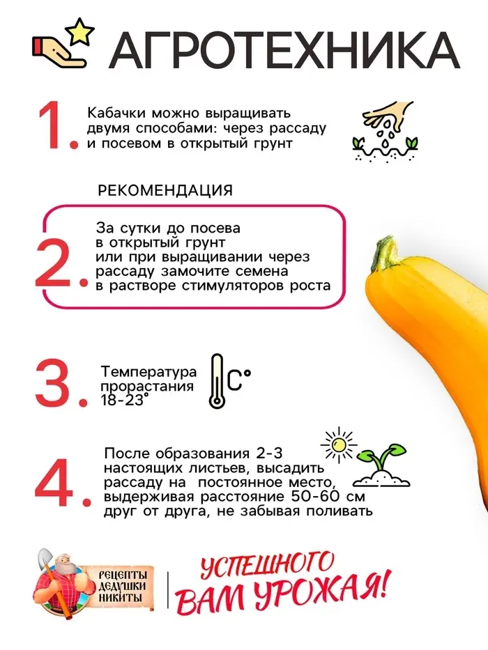 Семена Кабачок цукини &laquo;Желтоплодный&raquo;, 1 г, скороспелый, &laquo;Рецепты дедушки Никиты&raquo;