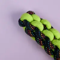 VETTA Игрушка для домашних животных, ПЭ, хлопок, 23,5 см