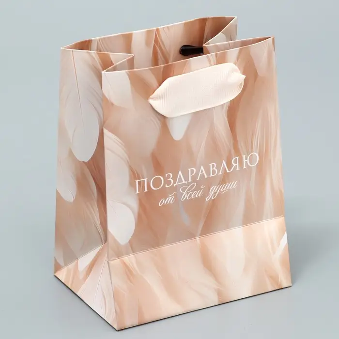 Пакет подарочный ламинированный, упаковка, «Поздравляю», 9 х 12 х 6.5 см