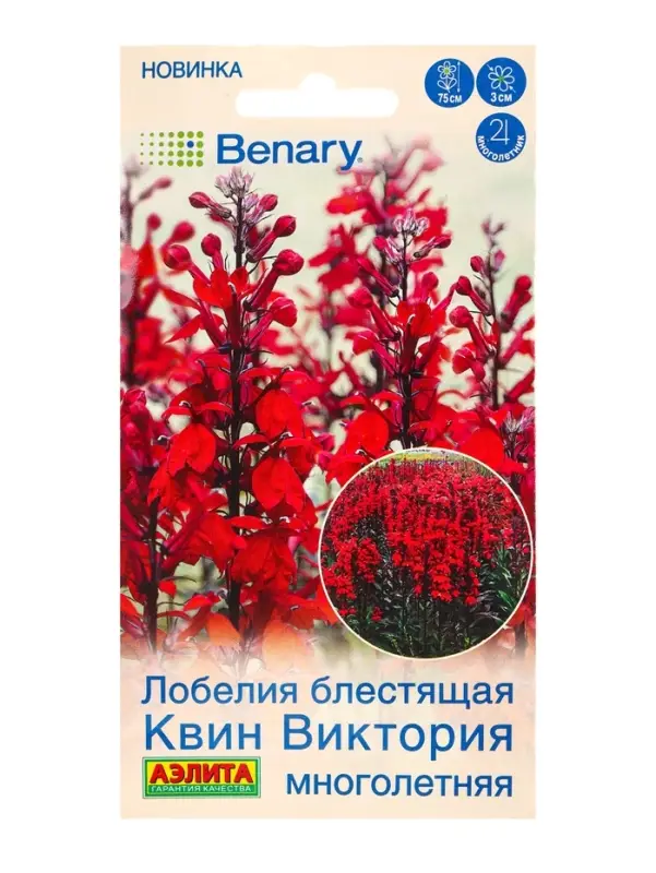 Семена цветов Лобелия многолетняя Квин Виктория Мн (драже в пробирке) Спецсерия Benary, Ц/П,7 шт. 10 Семена цветов Лобелия многолетняя Квин Виктория Мн (драже в пробирке) Спецсерия Benary, Ц/П,7 шт. 10
