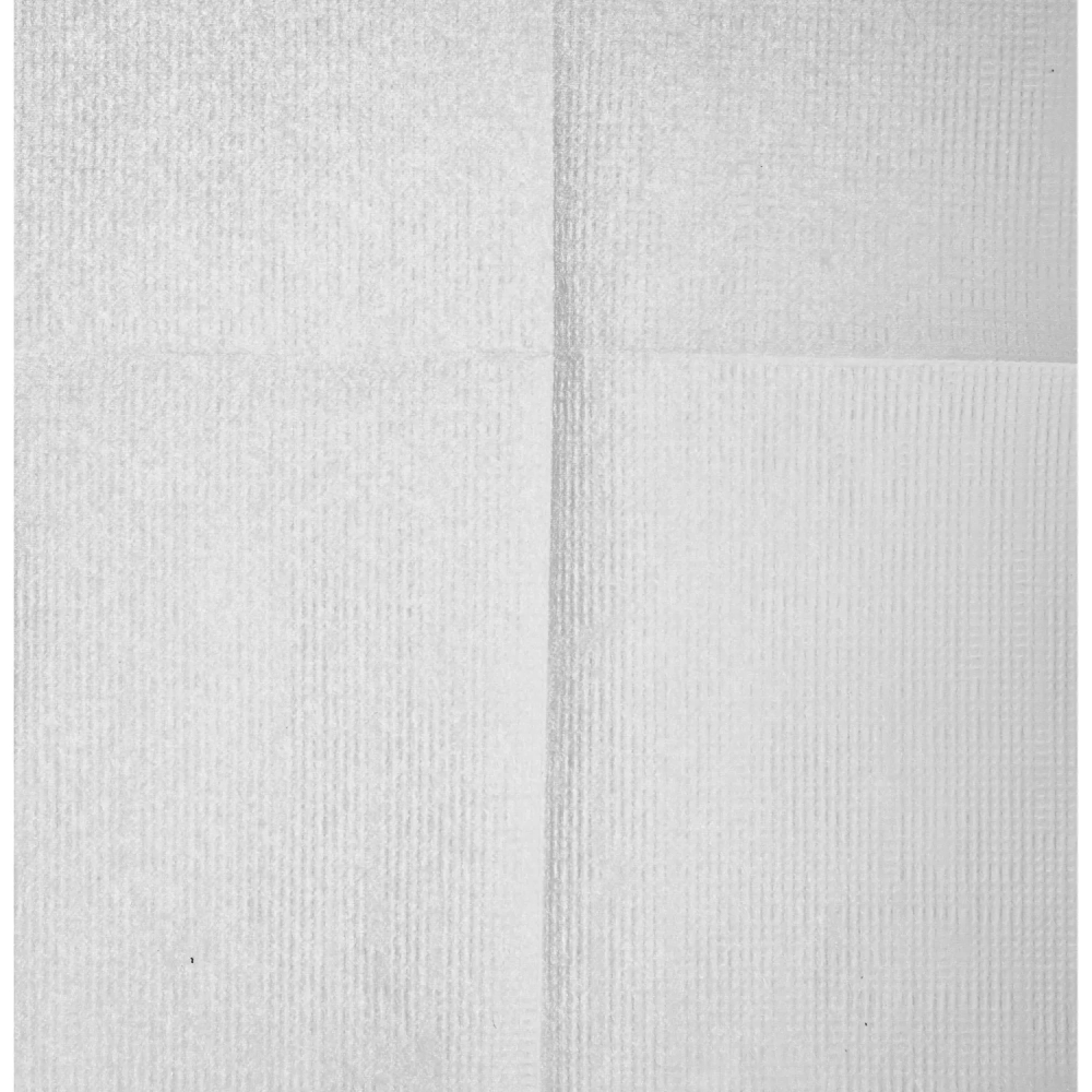 Салфетки бумажные Luscan Professional N21сл100л30 пач/уп