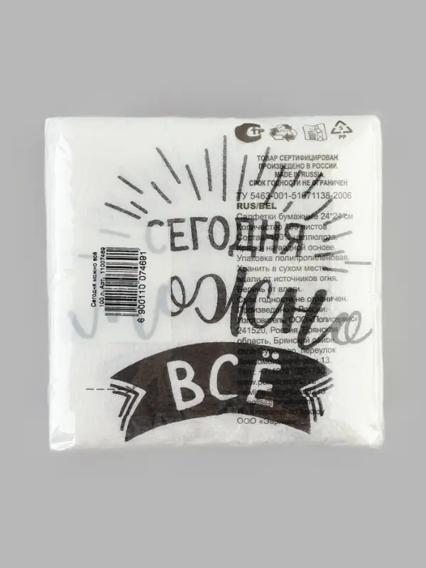 Салфетки бумажные однослойные &laquo;Сегодня можно всё&raquo;, 24&times;24 см, набор 100 шт.