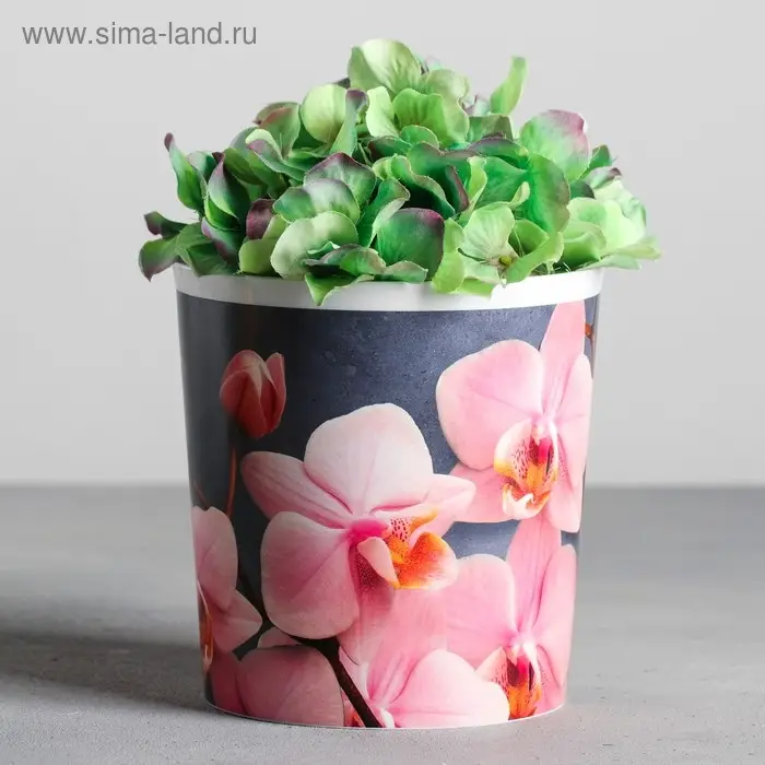 Кашпо для цветов «Орхидея», 1,6 л, 14 х 14 см Кашпо для цветов «Орхидея», 1,6 л, 14 х 14 см
