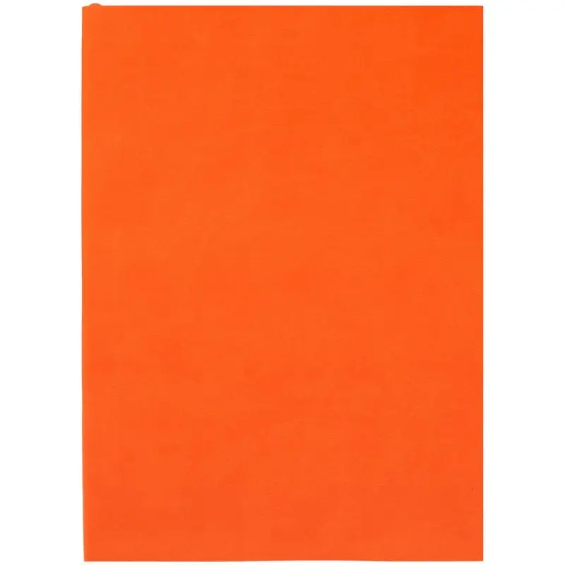 Ежедневник Flat Light, недатированный, оранжевый Ежедневник Flat Light, недатированный, оранжевый