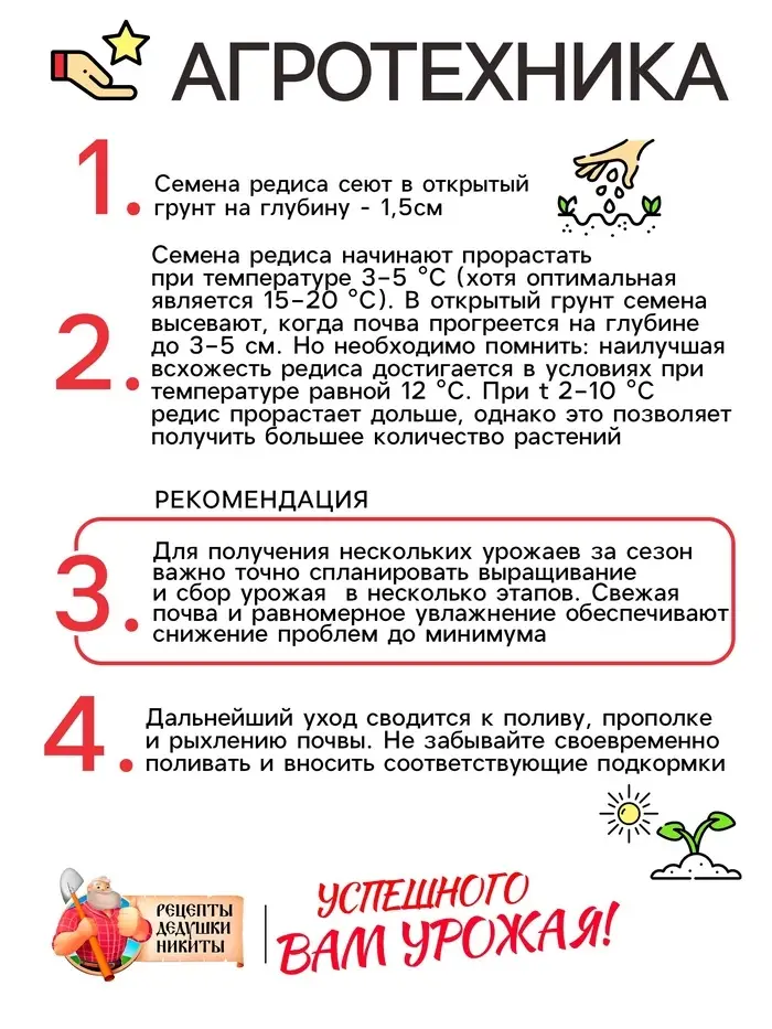 Семена Редис "Розово-красный с белым кончиком", 2 г