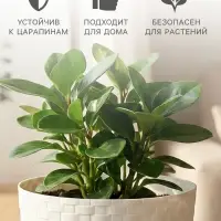 Горшок для цветов с поддоном &laquo;Ротанг&raquo;, 1.2 л, d=13 см, h=12 см, пластиковый, белый
