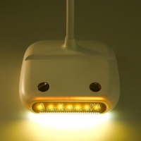 Настольная лампа сенсорная "Арти" LED 5Вт USB АКБ белый RISALUX