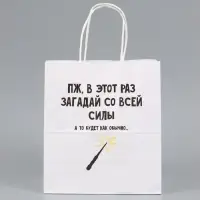 Пакет подарочный, крафтовый &laquo;Новогодний 2&raquo;, 22&times;25&times;12 см