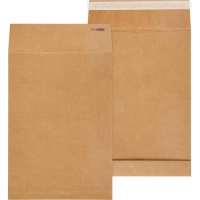 Пакет крафт B4 стрип Extrapack250х353х40 120г 25шт/уп/6569