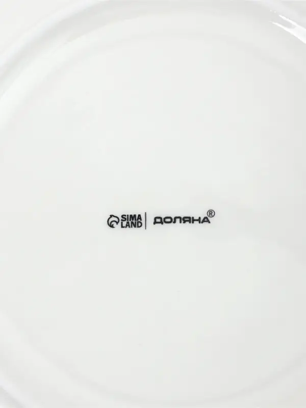 Тарелки обеденные Доляна White Label, набор 4 шт., d=22.5 см, фарфор, белые