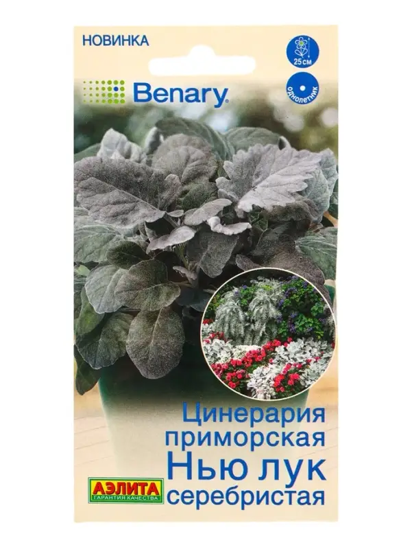 Семена цветов Цинерария Нью Лук серебристая (драже в пробирке) Спецсерия Benary, Ц/П,15 шт. 1094592 Семена цветов Цинерария Нью Лук серебристая (драже в пробирке) Спецсерия Benary, Ц/П,15 шт. 1094592