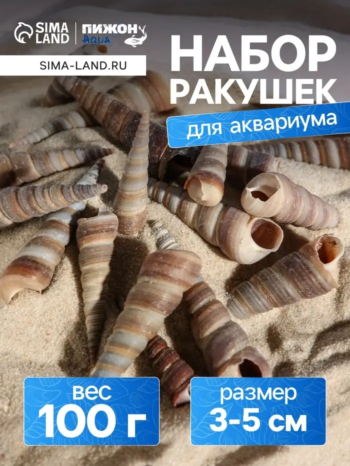 Набор ракушек, 3 - 5 см, 100 г