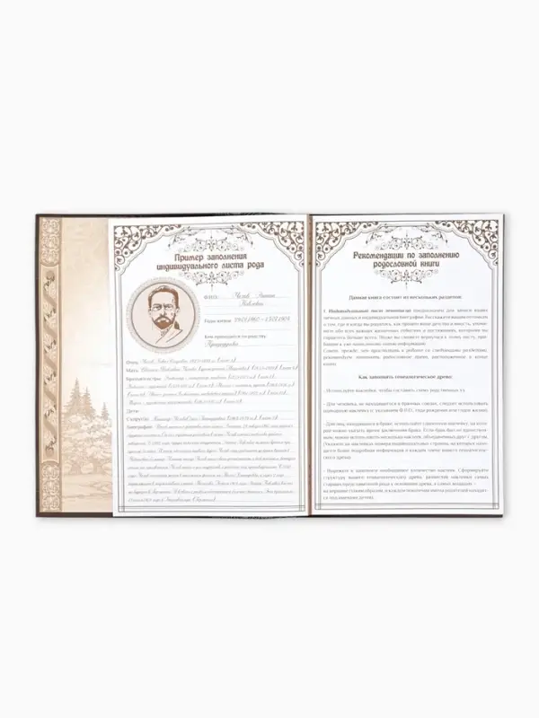 Родословная книга &laquo;Семейная летопись&raquo;, перо, 50 листов, 22&times;31 см