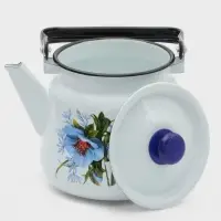 Чайник &laquo;Цветы синие&raquo;, 3.5 л, эмалированная сталь, белый