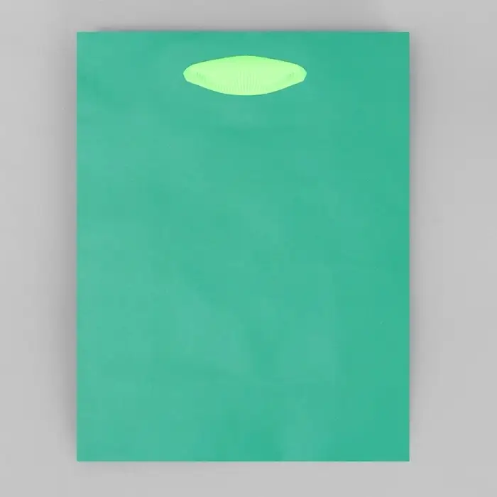 Пакет подарочный двухцветный, упаковка, «Зеленый-салатовый», S 12 х 15 х 5.5 см