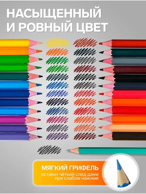 Карандаши Calligrata, цветные, 24 цвета, эконом, шестигранные, пластиковые, пенал-футляр и 3 чернографитных карандаша с ластиком в ПОДАРОК, МИКС