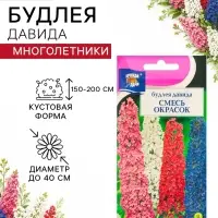 Семена цветов Будлея &laquo;Давида&raquo;, 0.01 г