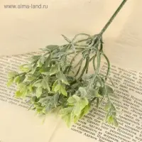 Букет искусственный «Зелень», с напылением, 22 см (цена за 1 шт., фасовка 6 шт.)