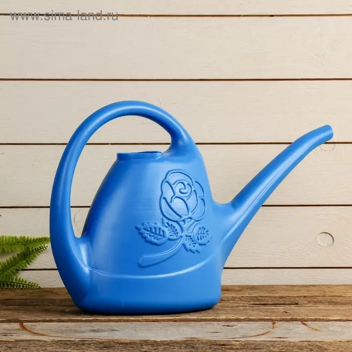 Лейка, 2.5 л, без рассеивателя, цвет МИКС