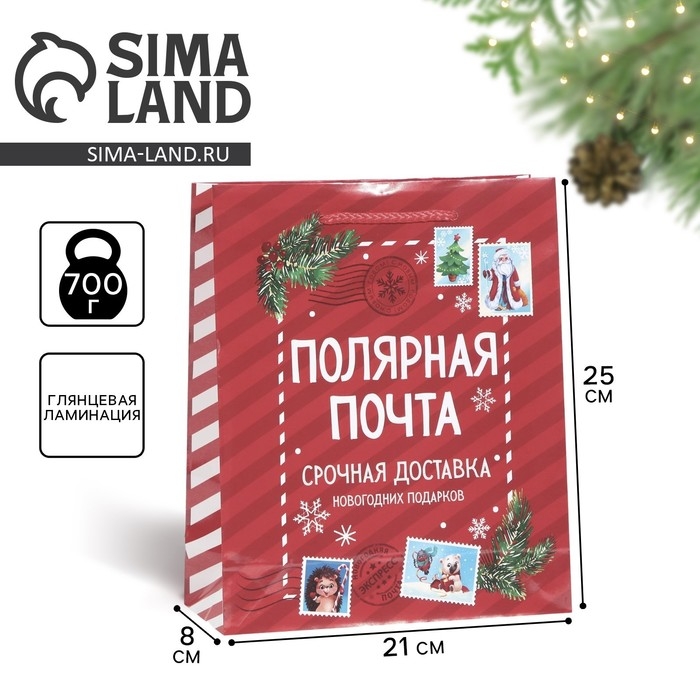 Пакет подарочный новогодний ламинированный «Полярная почта», ML 21 х 25 х 8 см Пакет подарочный новогодний ламинированный «Полярная почта», ML 21 х 25 х 8 см