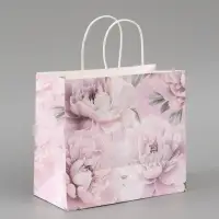 Пакет подарочный &laquo;Расцветай&raquo;, 25 х 22 х 12 см