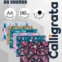 Папка-конверт на кнопке, А6, 180 мкм, МИКС