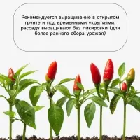 Семена Перец &laquo;Аристократ&raquo; 0.15 г, &laquo;Агросс&raquo;