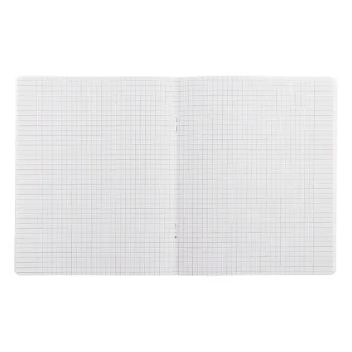 Тетрадь 18 листов в клетку Calligrata &laquo;Еноты&raquo;, обложка мелованный картон, блок офсет, белизна 95%, МИКС