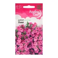 Семена Диасция «Успех», 0.01 г, «Гавриш» Семена Диасция «Успех», 0.01 г, «Гавриш»