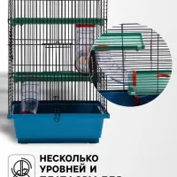 Клетка для грызунов &laquo;Дом&raquo;, 39&times;29&times;49 см, трехярусная, цвет МИКС