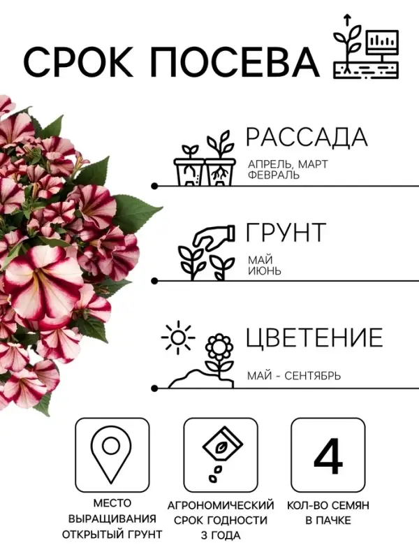 Семена цветов Петуния &laquo;Изи вейв&raquo; F1, бургунди стар, 4 шт.