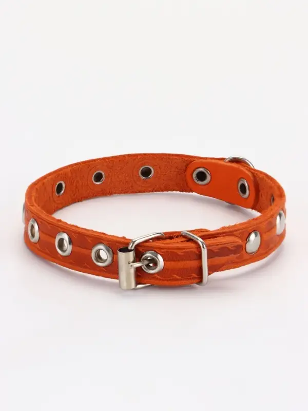 Ошейник кожаный однослойный украшенный, 1,2 см, ОШ 20-26 см микс цветов