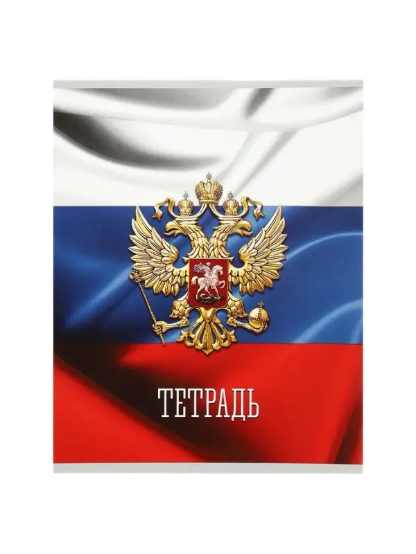 Тетрадь 48 листов в клетку Calligrata &laquo;Россия&raquo;, серые листы, МИКС