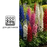 Семена цветов Будлея &laquo;Давида&raquo;, 0.01 г