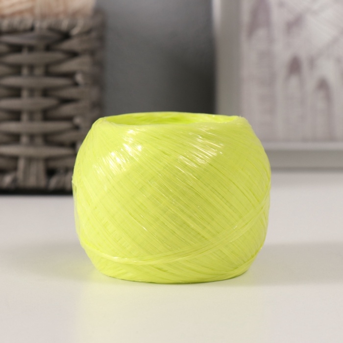 Пряжа Пряжа "Для вязания мочалок" 100% полипропилен 200м/50±10 гр клубок (набор 2 шт МИКС #4)