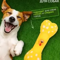 Игрушка для собак &laquo;Кость с портретом&raquo;, 15 см, пищащая, жёлтая