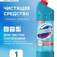 Чистящее средство Domestos &laquo;Свежесть Атлантики&raquo;, универсальное, 1 л