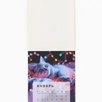 Календарь 2026 отрывной на магните &laquo;Счастливого года!&raquo; 9.5&times;13 см