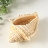 Фигурка - подставка для мелочей &laquo;Ракушка большая&raquo;, гипс, 17&times;11 см