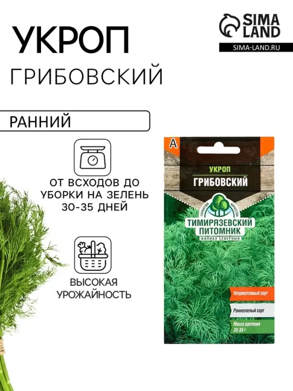 Семена Укроп "Грибовский" ранний, 3 г