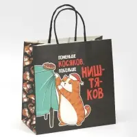 Пакет подарочный новогодний &laquo;Косяки наше всё&raquo;, 22&times;22&times;11 см