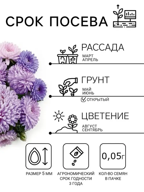 Семена цветов Астра &laquo;Леди Корал лавандовая&raquo;, однолетняя, 0.05 г, &laquo;Гавриш&raquo;