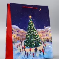 Пакет подарочный новогодний ламинированный, &laquo;Новогодний каток&raquo;, 26&times;12&times;32 см