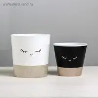 Набор кашпо для цветов 2 в 1 «Мордочки», 0,8 и 1,6 л, 11 х 12 и 14 х 14 см Набор кашпо для цветов 2 в 1 «Мордочки», 0,8 и 1,6 л, 11 х 12 и 14 х 14 см