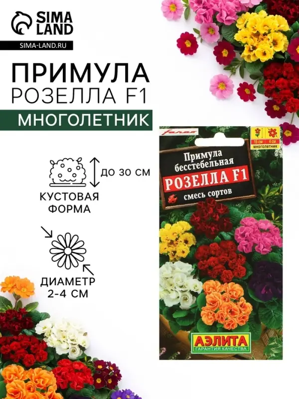 Семена цветов Примула "Розелла", смесь окрасок, F1, 7 шт