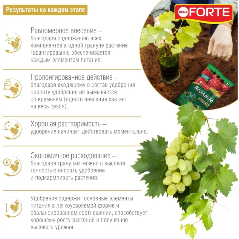 Удобрение Bona Forte гранулированное Хвойн. с кремнием,пакет5 кг,BF23010421