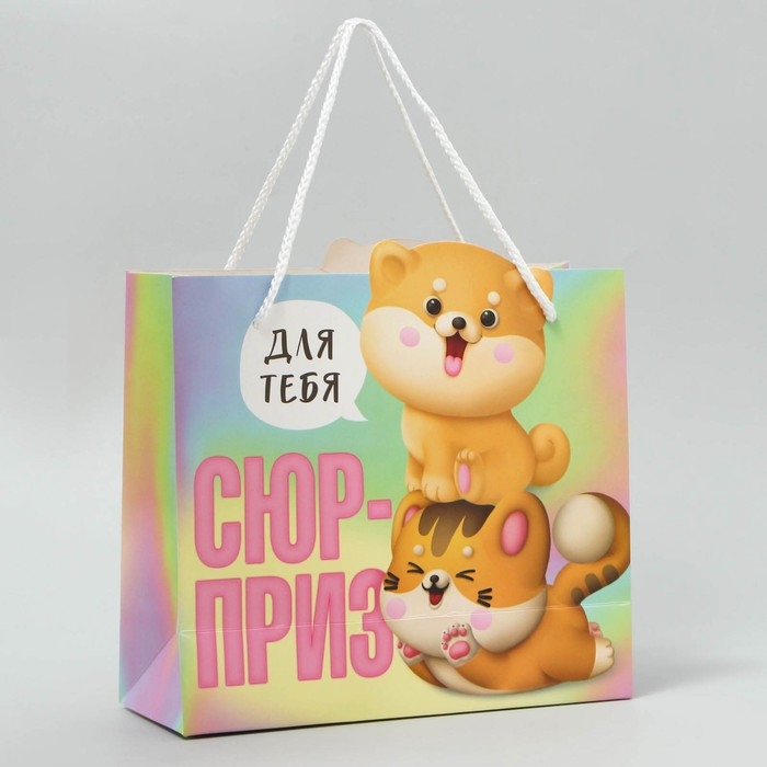 Пакет подарочный, упаковка, «Сюрприз», 25 х 26 х 10 см Пакет подарочный, упаковка, «Сюрприз», 25 х 26 х 10 см