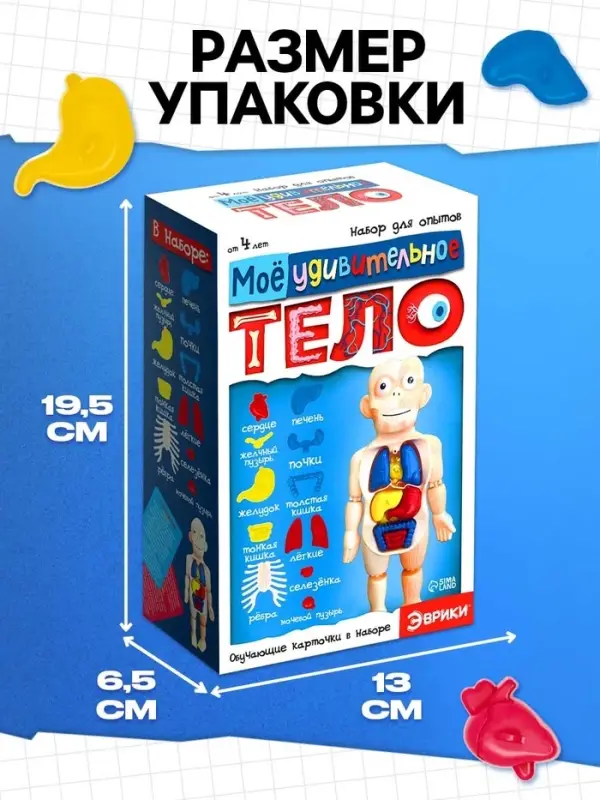 Набор для опытов &laquo;Мое удивительное тело&raquo;