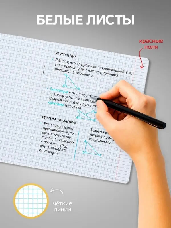 Комплект тетрадей из 10 штук, 18 листов в клетку Calligrata "Пятёрка", обложка мелованный картон, ВД-лак, блок офсет, 5 видов по 2 штуки