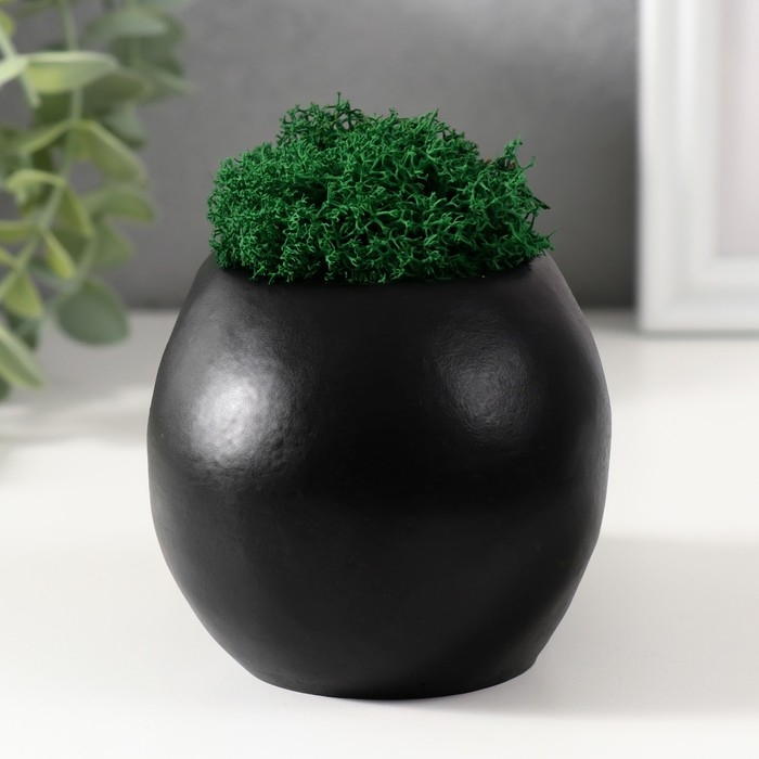 Кашпо бетонное  Кашпо бетонное "Череп Money "со мхом 7х11 см черный с золотыми зубами (мох зеленый стабил)